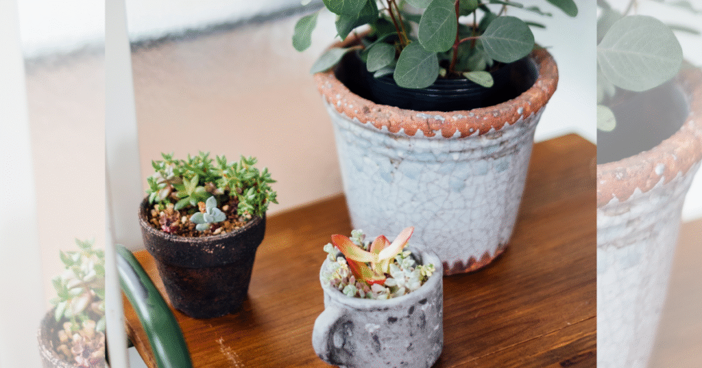 Add Cozy Touches to Your Windowsill Herb Garden