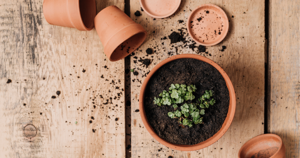 Gather Pots and Soil